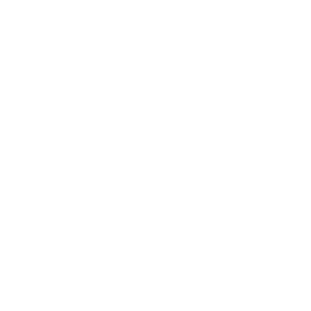 60 anniversary white logo