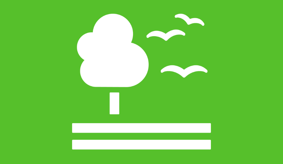 An icon showing a graphic of a tree with three birds flying near