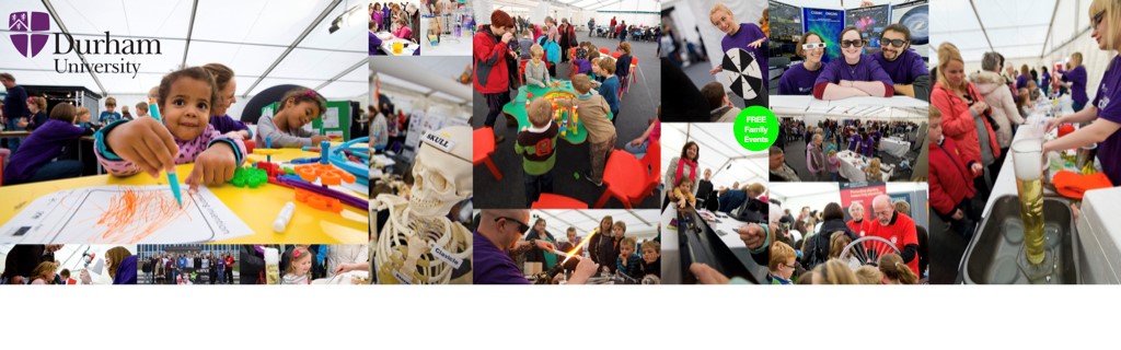 Examples of activities at Celebrate Science