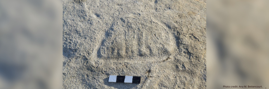 Photograph of ‘Triangular boat’ petroglyph in the panel 18 of Laje da Churra, North Portugal. Photo credit: Ana M. Bettencourt.