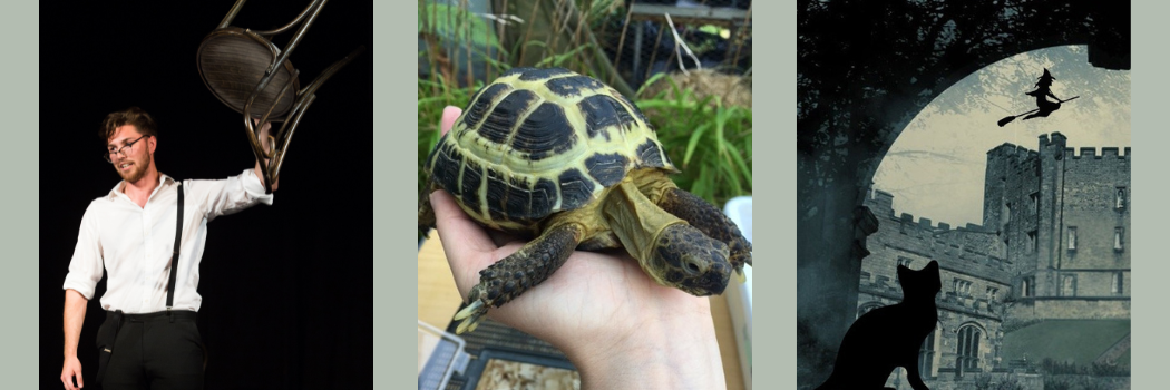 A series of three images showing a man with a white shirt holding a chair above his head, a tortoise on a palm and the silhouette of a black cat watching a witch on a broomstick above Durham Castle