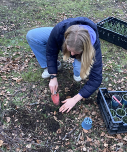 Student planting a seedling