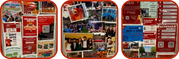 A collection of images from the pinboards inside Grey College