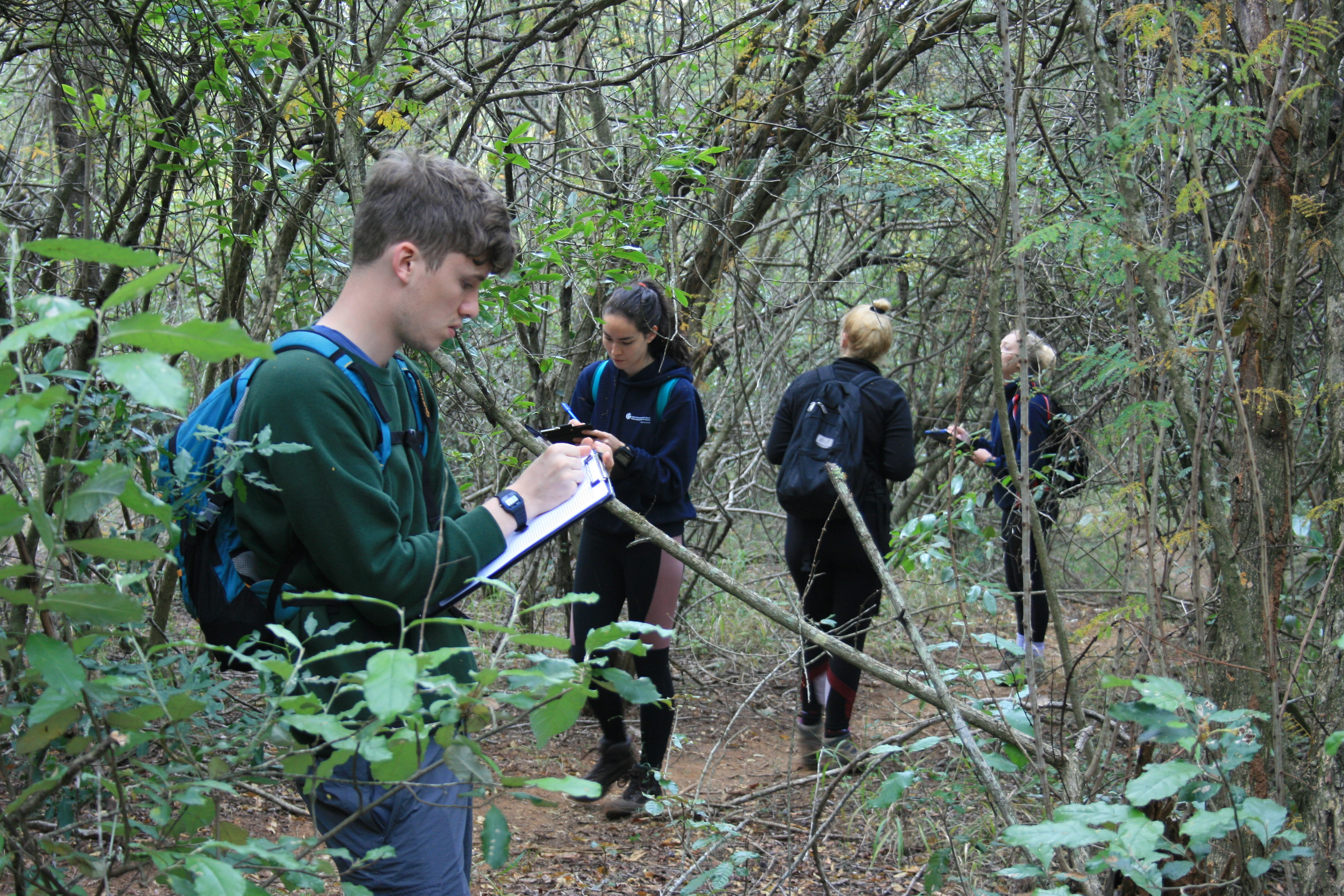 Students writing on clipboards in a woodland