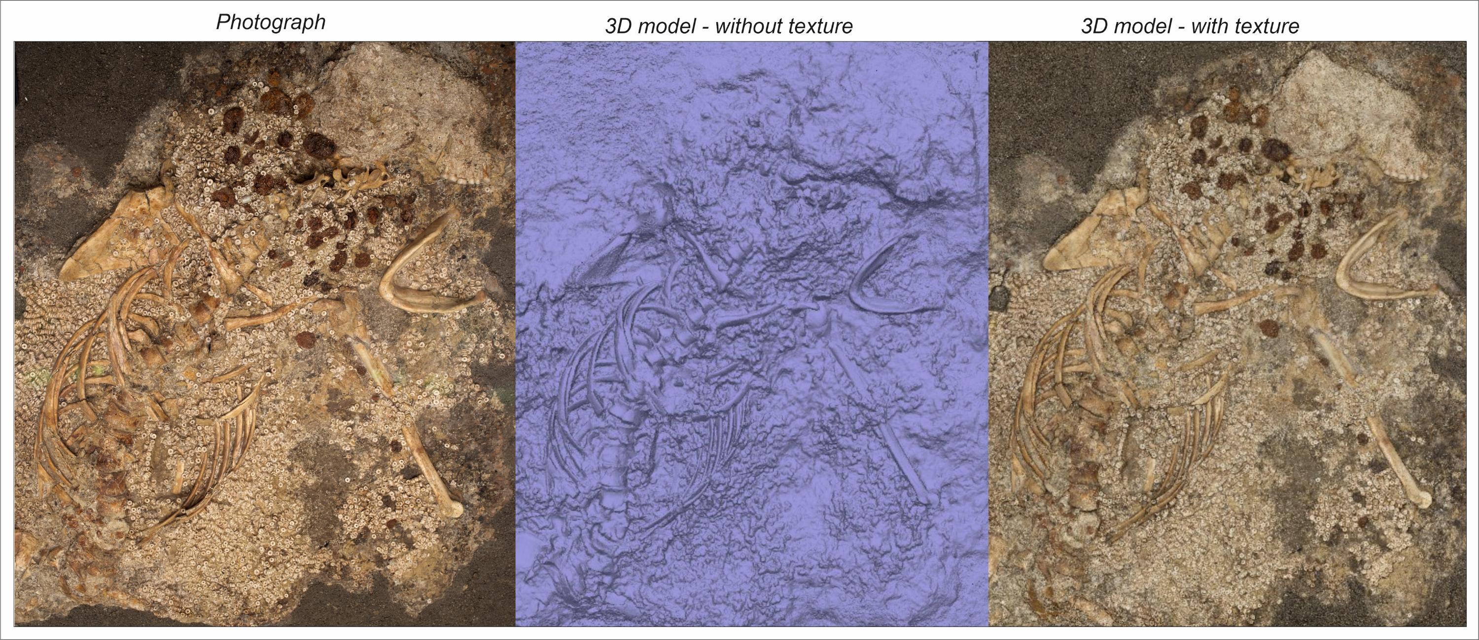 Side by side comparison of images of Individual 343 in the Montelirio burial. From left to right: aerial photo, 3D model without texture, 3D model with texture.