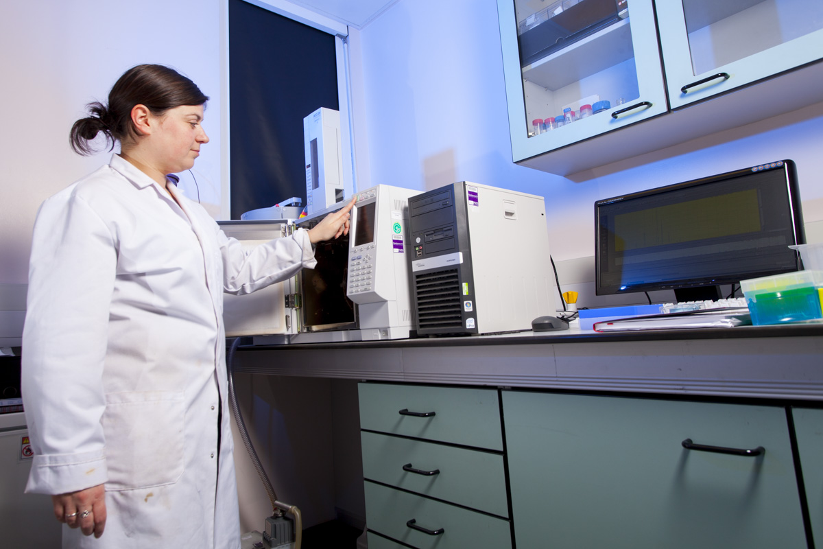 person using gas chromatography system