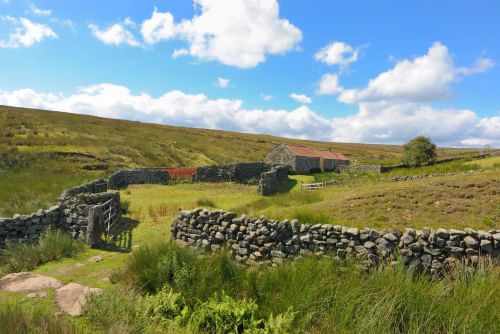 A dry stone wann small stone barn surrounded by grass