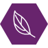 Environmental Humanities hexagon