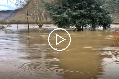 Video still from Sustainable drainage systems (SuDS)