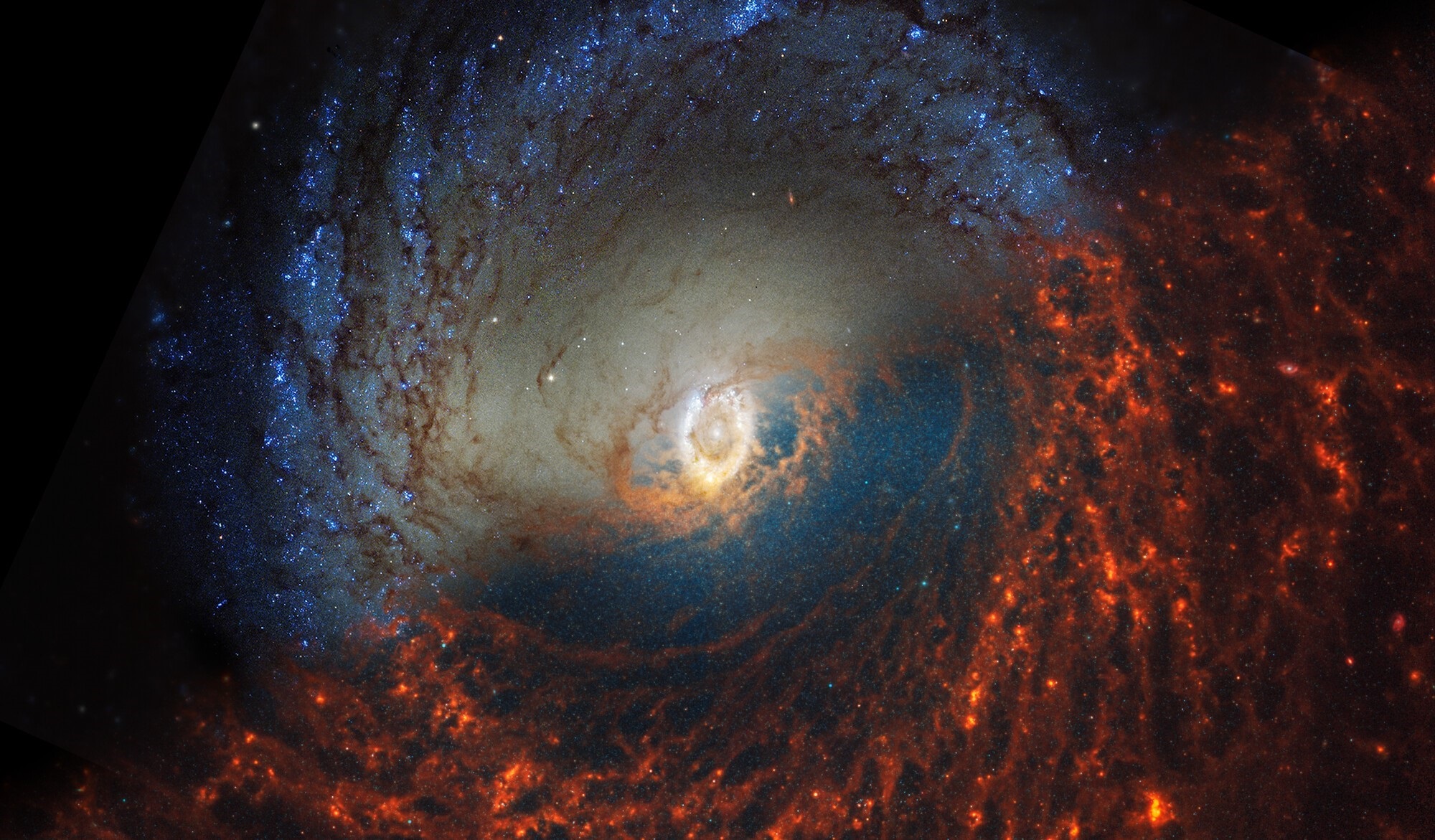 Stars and galaxies