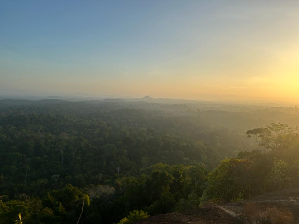 Elizabeth Balls Suriname