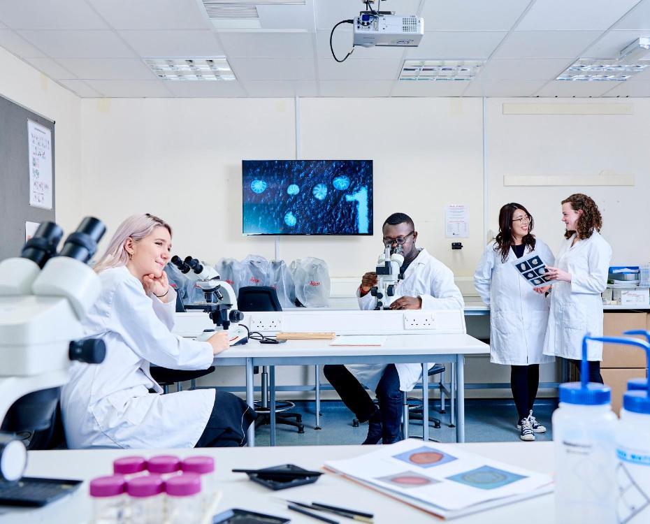 Student group working in geography lab