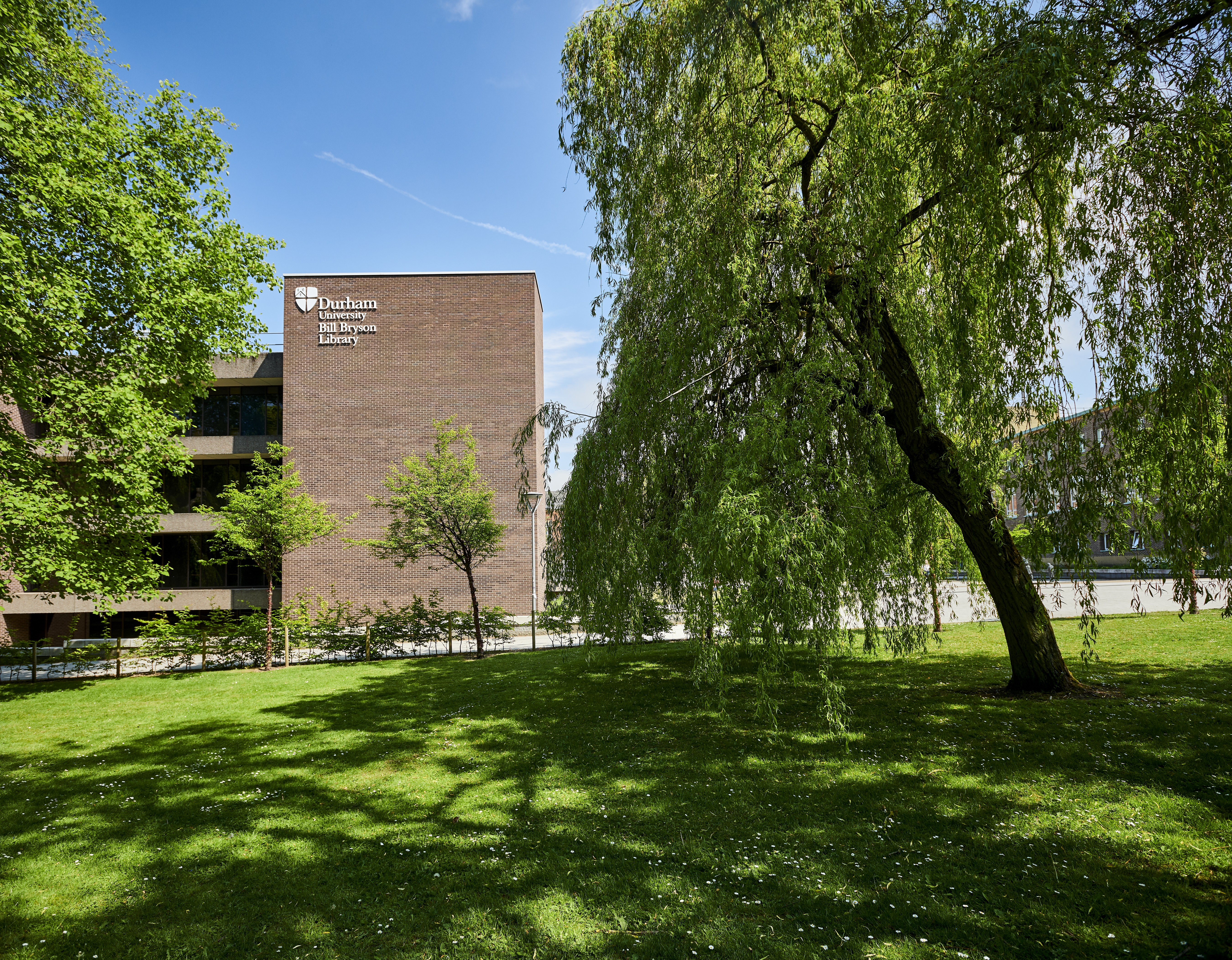 A Picture of the University Bill Bryson Library amongst the Trees
