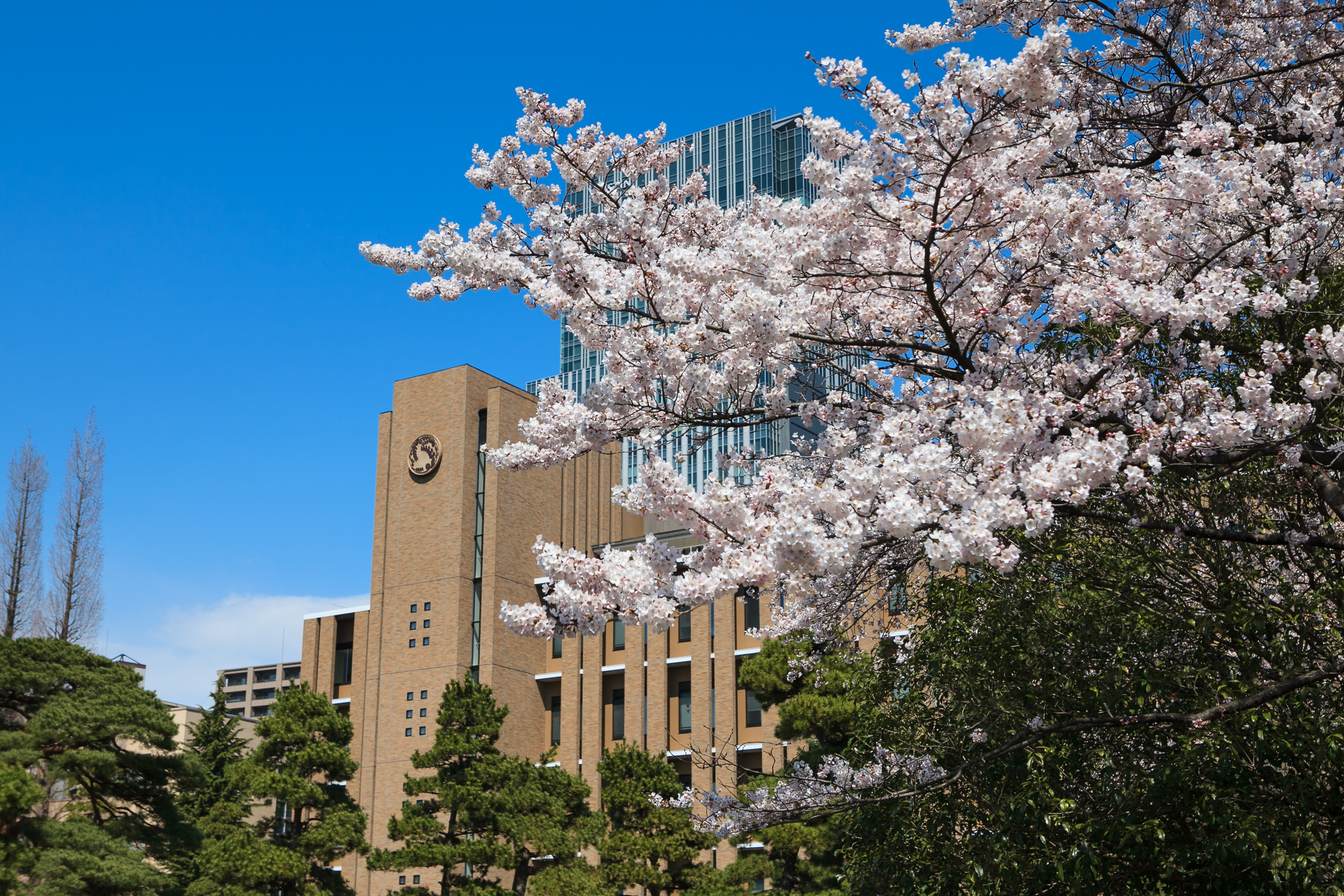 Tohoku University Campus 4