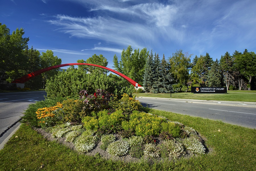 Calgary Arch