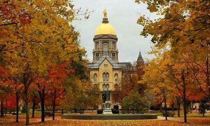 cropped for signposting block