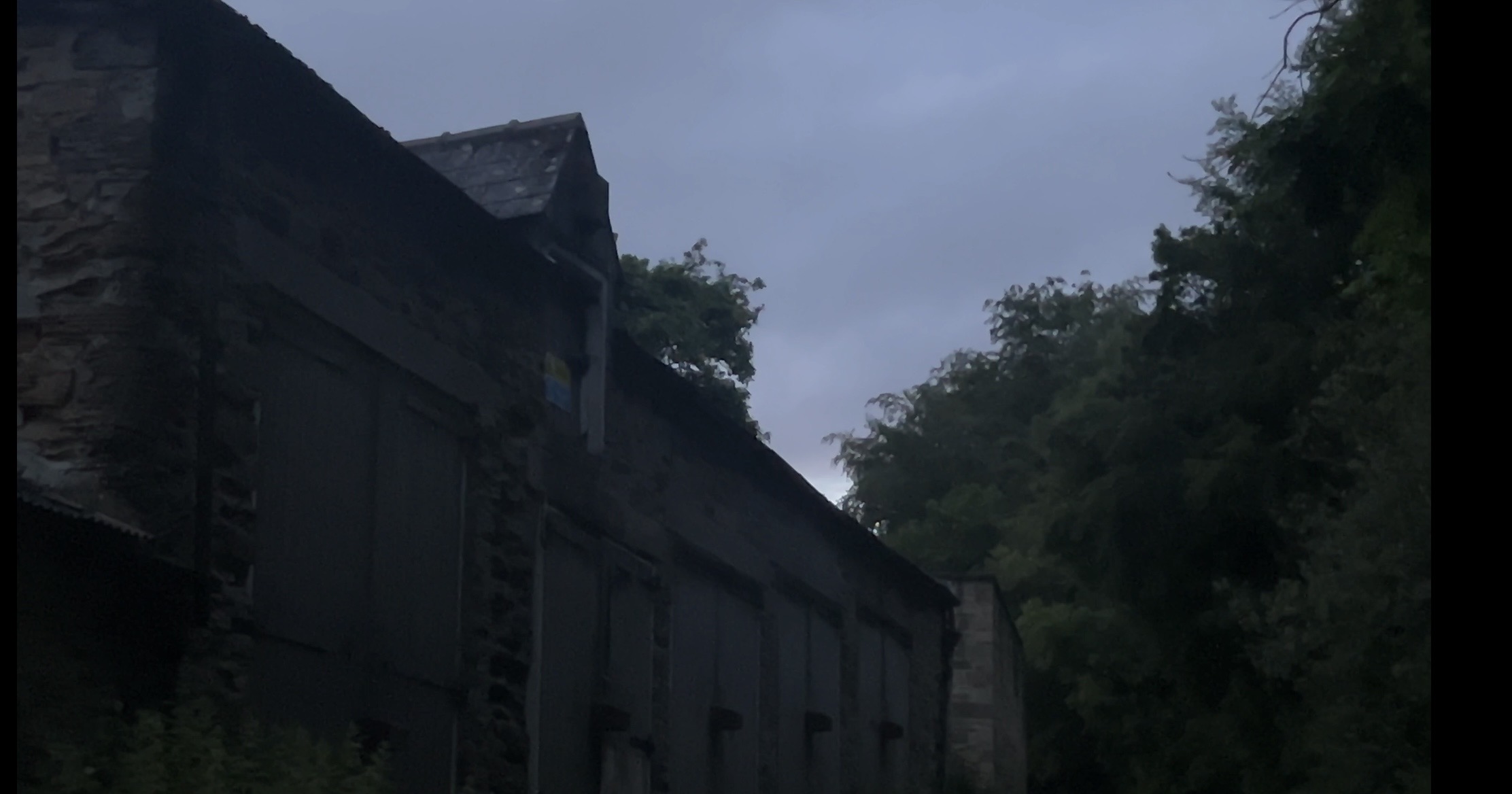 Bat Survey Old Cartshed Hollingside Lane 1.jpeg