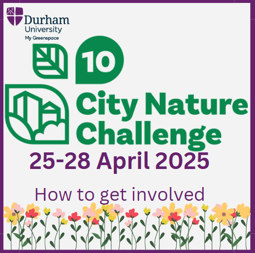 City Nature Challenge 2025 CNC