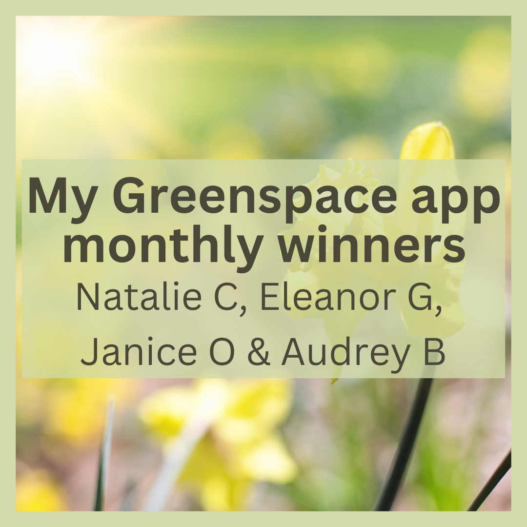 My Greenspace monthly winners March 2025