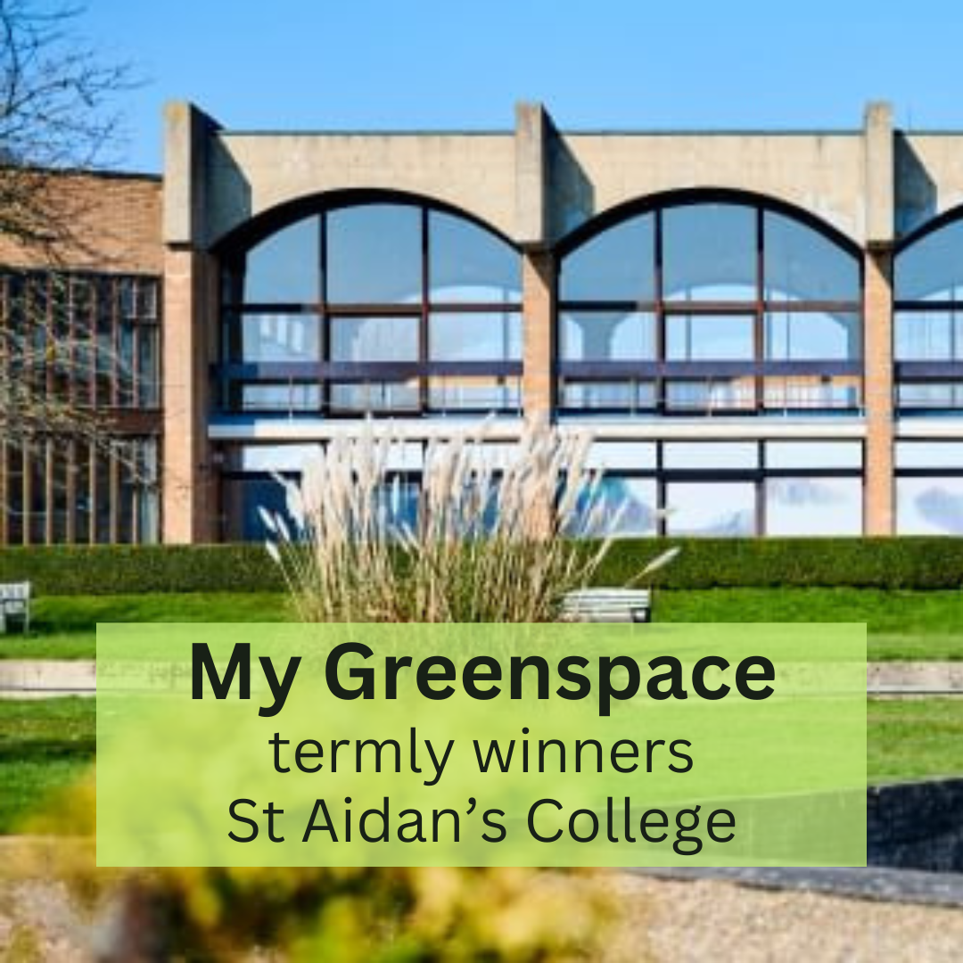 Termly winners April 2026