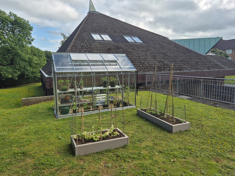 Greenhouse picture