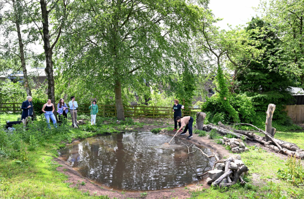 Pond dipping