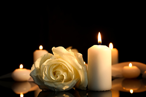 white flower and candle