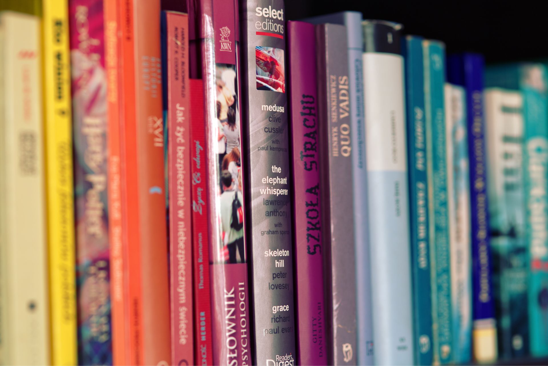 Close-up of a colorful bookshelf featuring a variety of books