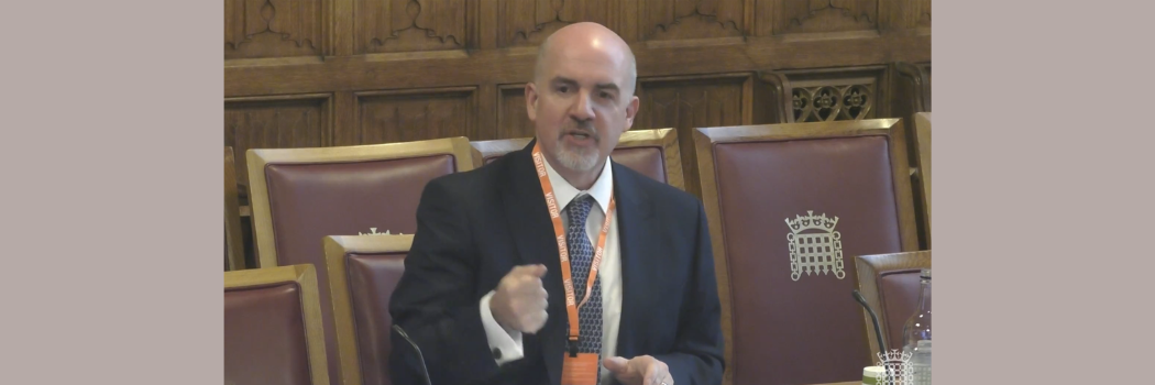 Professor Thom Brooks, from our Law School, giving evidence in the House of Lords