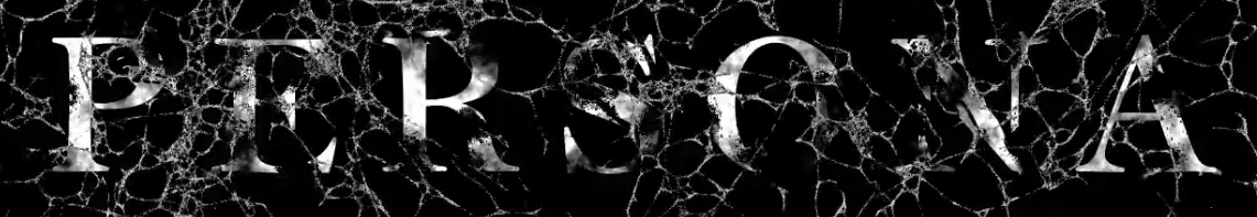 Image representing Persona AI project