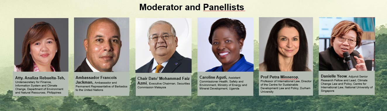 COP30 and the year ahead Webinar