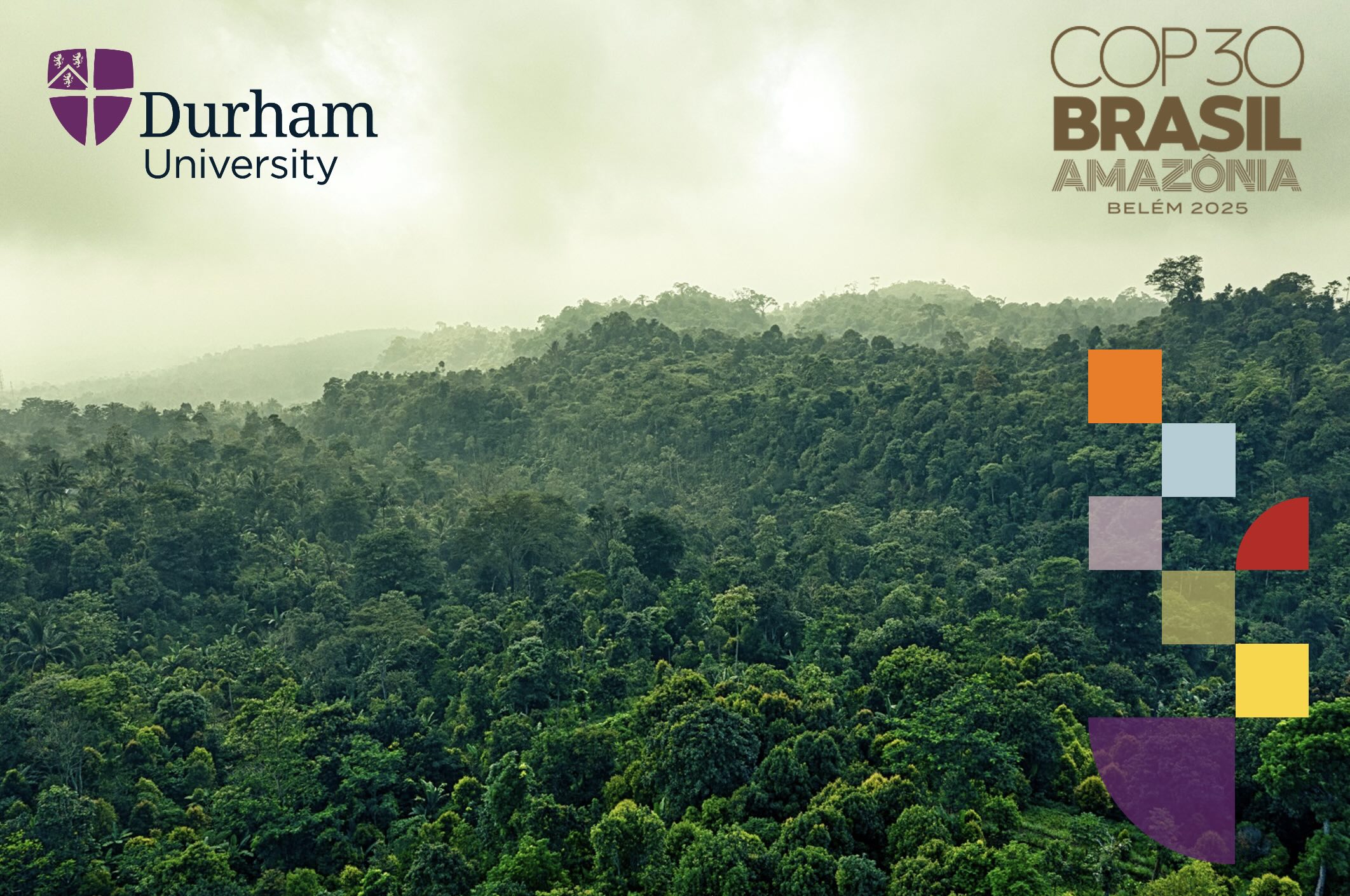 COP30 flyer with a back ground of Amazon Rain Forest