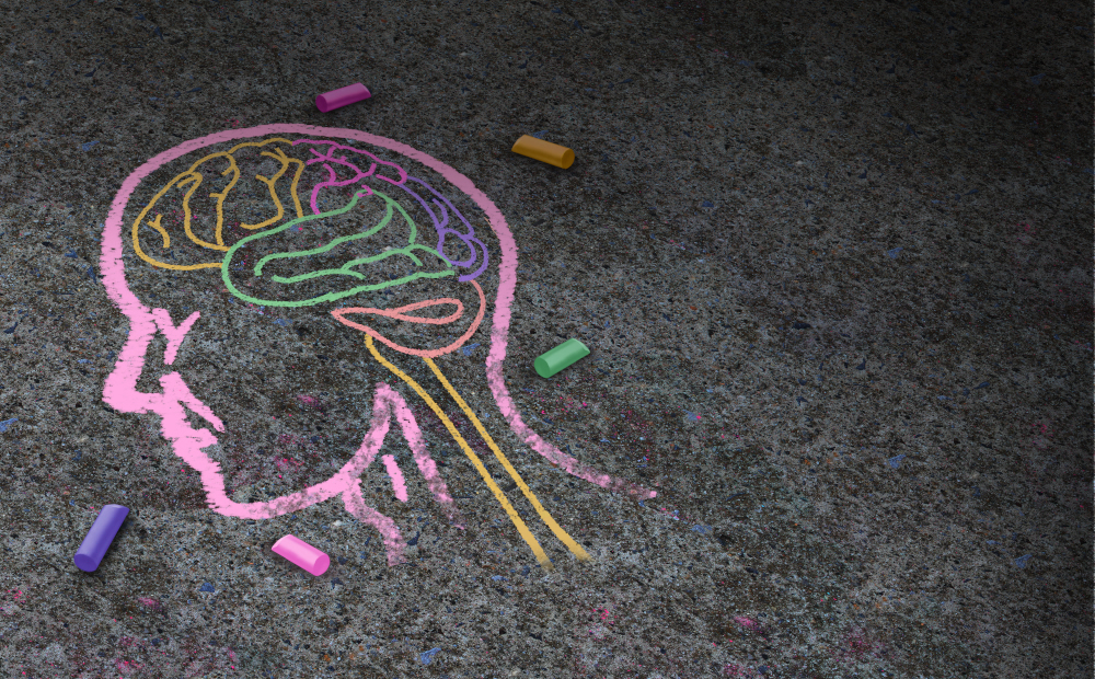 TA colourful chalk drawing of the human head and brain.