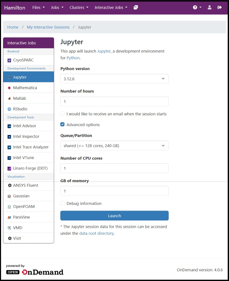 Hamilton portal page for specifying an interactive job