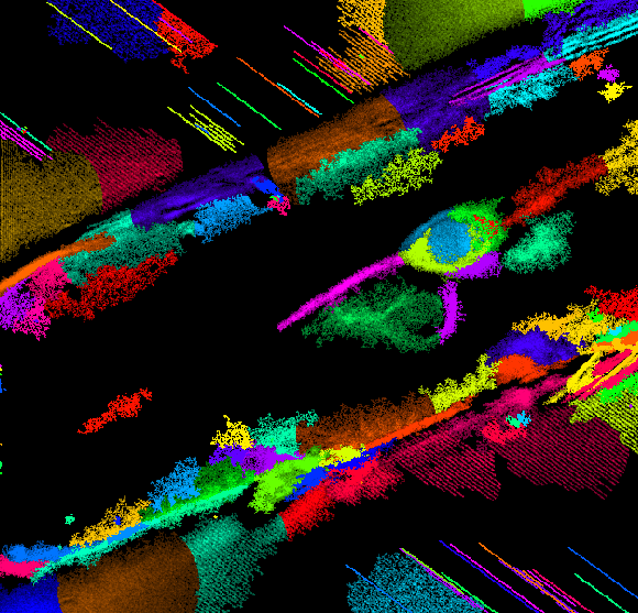 Cells in Larval Mosquito Antenna