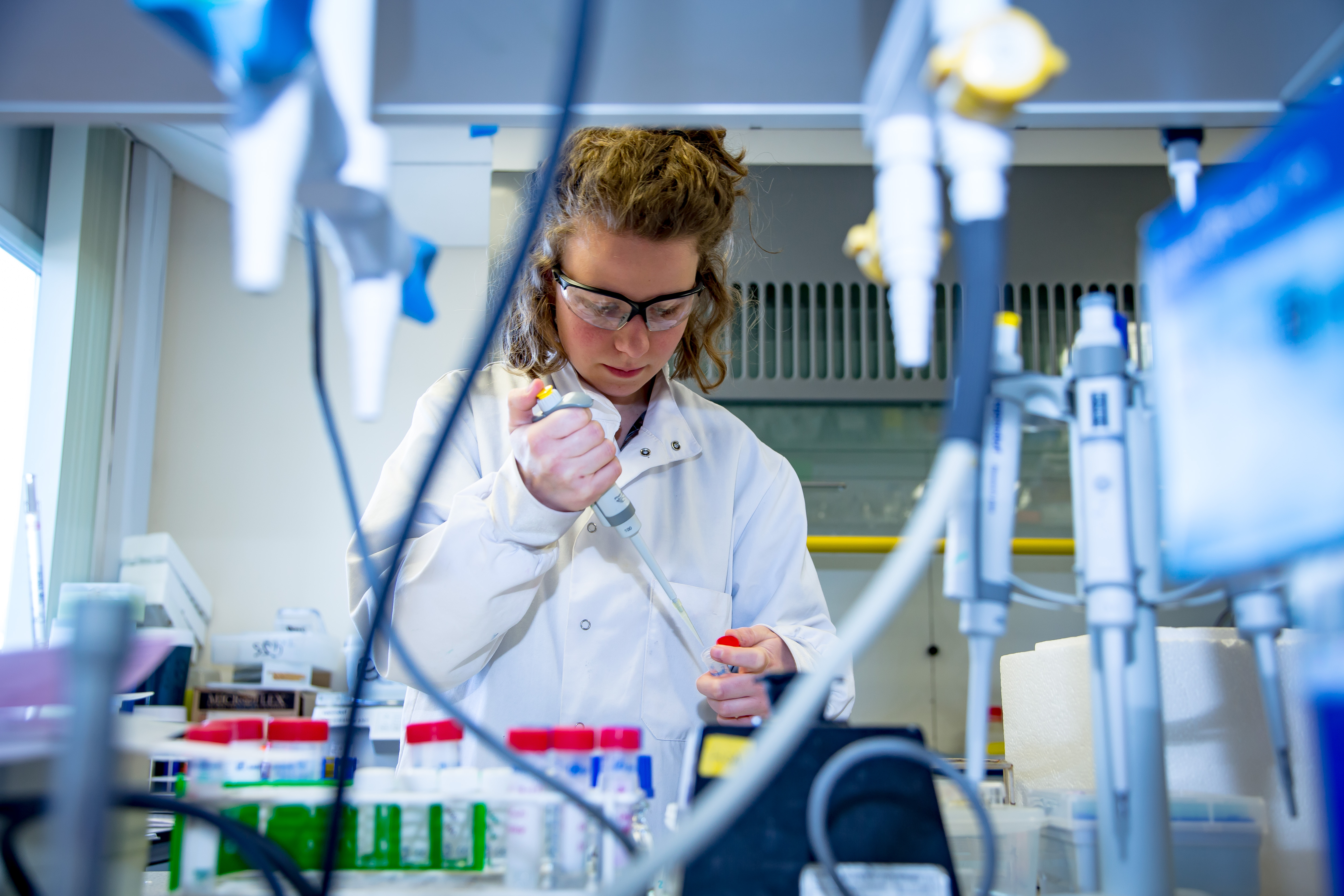 TPhD doing lab prep