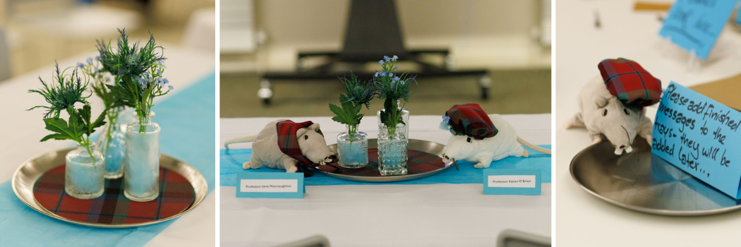 A selection of images: Thistles in glass vases, Two toy rats dressed in tartan clothing, and a toy rat with a tartan hat next to a handwritten sign.