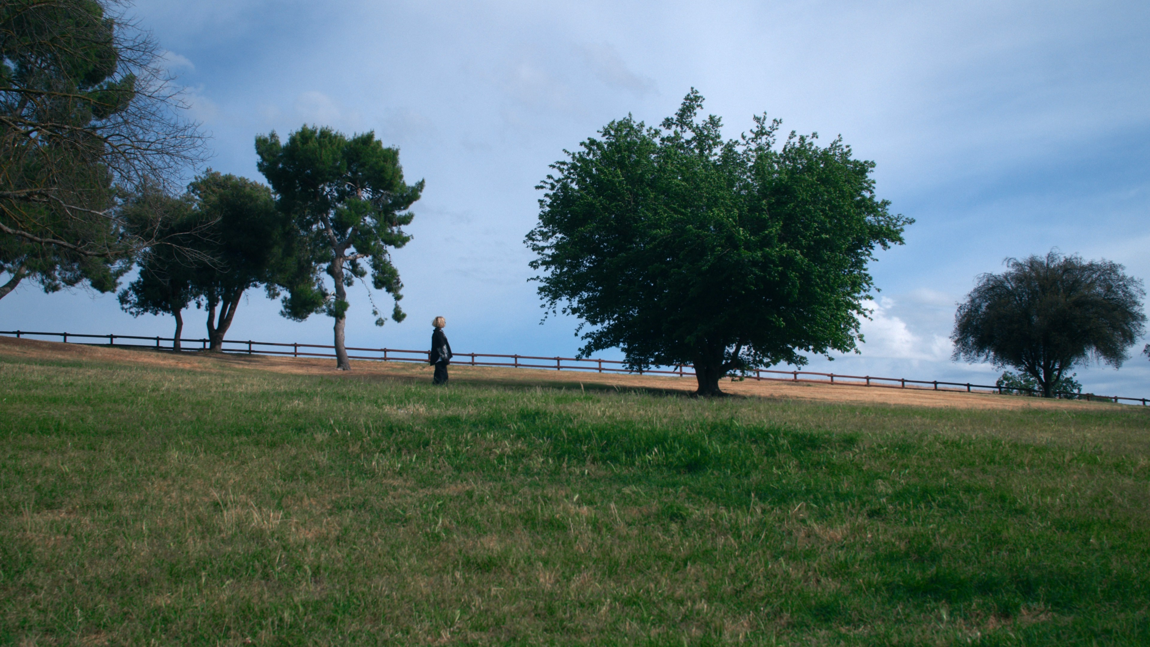 A person standing in a field with sparse trees and a small fence at the back