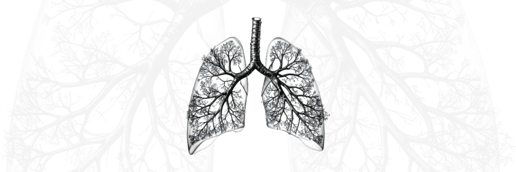 black and white illustration of lungs