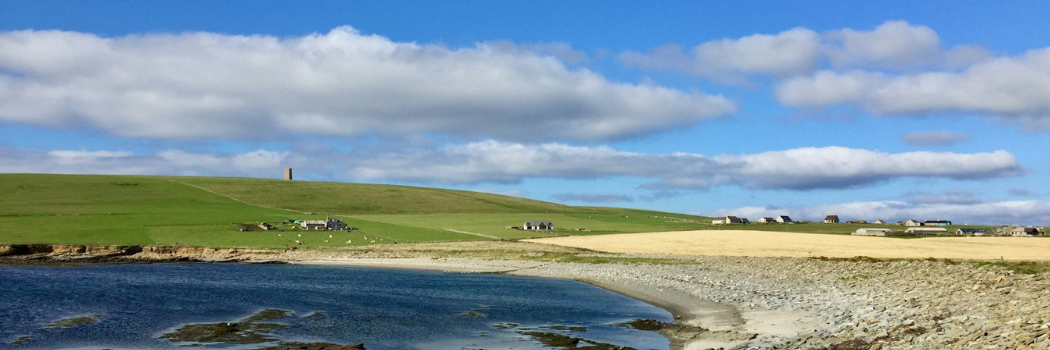 brown-and-green-field-near-body-of-water-under-blue-sky-during-daytime
