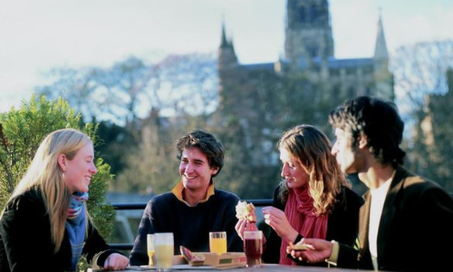 This is the image alt text